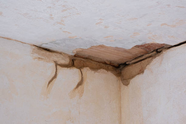 Water damage restoration experts in Northampton, MA