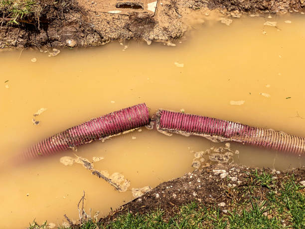  Northampton, MA Water damage restoration Pros
